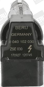 BorgWarner (BERU) ZSE030 - Bobina de inductie parts5.com