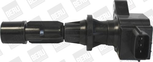 BorgWarner (BERU) ZS488 - Bobina de inductie parts5.com