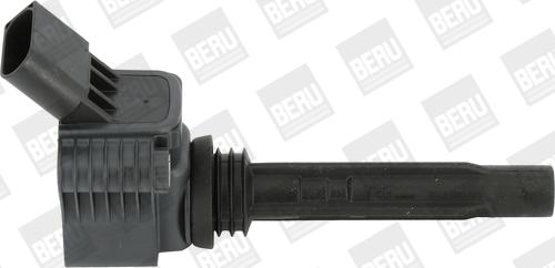 BorgWarner (BERU) ZSE067 - Zapalovací cívka parts5.com