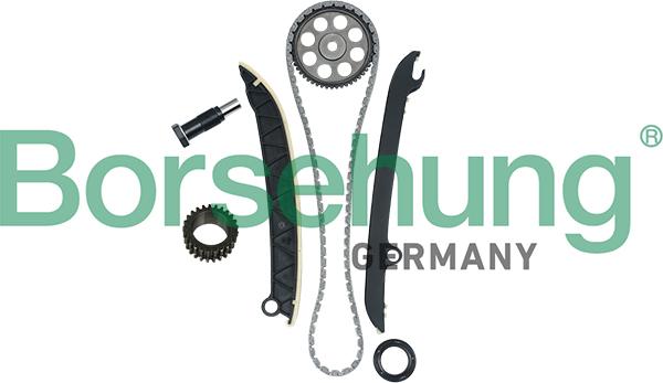 Borsehung B16297 - Timing Chain Kit parts5.com