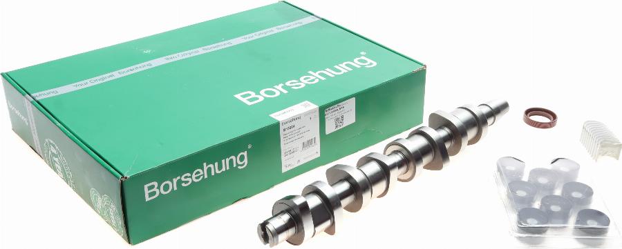 Borsehung B18664 - Komplet odmikalne gredi parts5.com