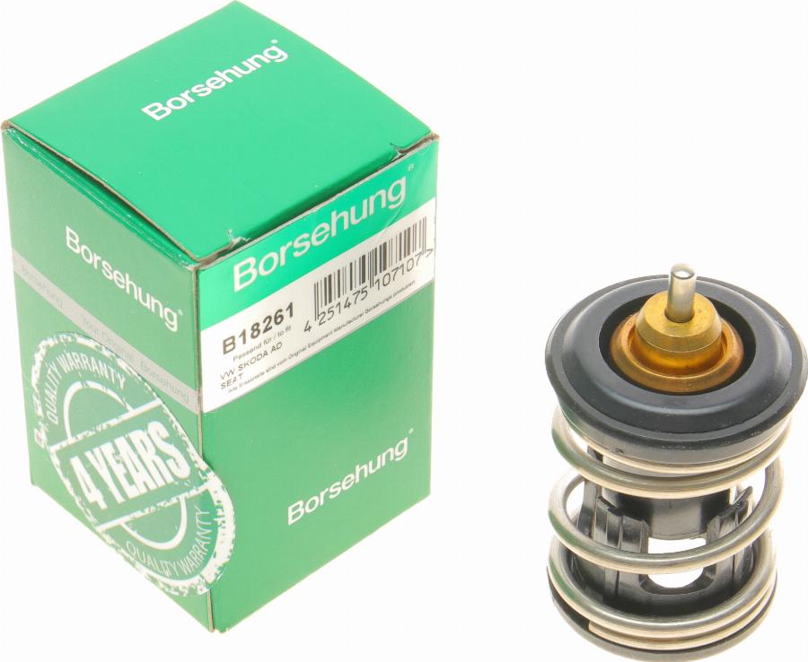 Borsehung B18261 - Thermostat, coolant parts5.com