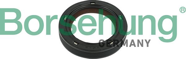 Borsehung B18729 - Akselitiiviste, nokka-akseli parts5.com