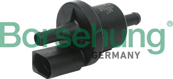 Borsehung B13667 - Válvula, filtro de carbón activado parts5.com