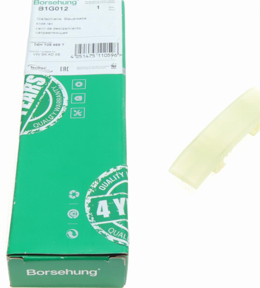 Borsehung B1G012 - Gleitschiene, Steuerkette parts5.com