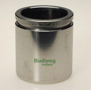 Budweg Caliper 234810 - Kolvid,pidurisadul parts5.com