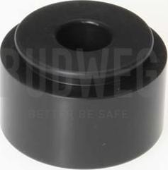 Budweg Caliper 234239 - Piston, brake caliper parts5.com