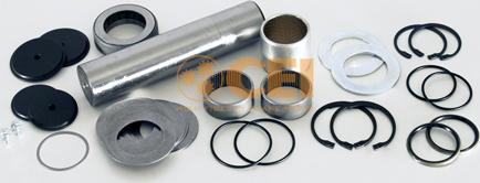 C.E.I. 230017 - Repair Kit, kingpin parts5.com