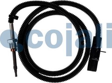 Cojali 2260781 - Sensor, exhaust gas temperature parts5.com