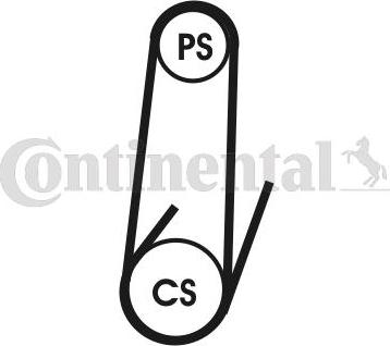 Continental CTAM 4 PK 1102 ELAST - Correa trapecial poli V parts5.com