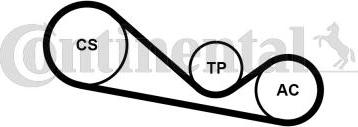 Continental CTAM 4PK1237K1 - Zestaw paska klinowego wielorowkowego parts5.com