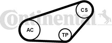 Continental CTAM 4PK841K1 - Zestaw paska klinowego wielorowkowego parts5.com