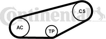 Continental CTAM 4PK855K1 - Zestaw paska klinowego wielorowkowego parts5.com