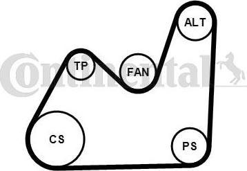 Continental CTAM 5PK1432K1 - Σετ ιμάντων poly-V parts5.com