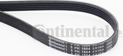 Continental CTAM 5PK1664 EXTRA - Pasek klinowy wielorowkowy parts5.com