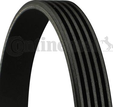 Continental CTAM 5PK1145 - V-Ribbed Belt parts5.com