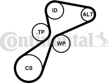 Continental CTAM 5PK1105K1 - Keilrippenriemensatz parts5.com