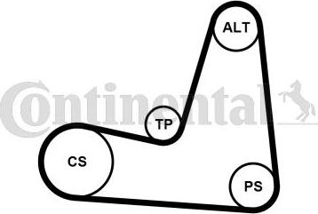 Continental CTAM 5PK1135K1 - Zestaw paska klinowego wielorowkowego parts5.com