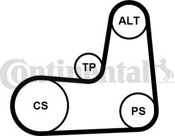 Continental CTAM 5 PK 1135 K2 - Moniurahihnasarja parts5.com