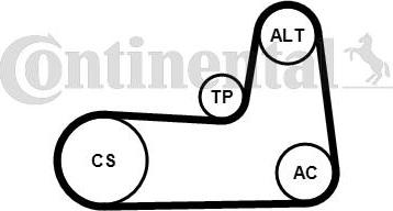 Continental CTAM 5PK1125K1 - Поликлиновый ременный комплект parts5.com