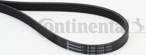 Continental CTAM 5 PK 1245 - Поликлиновой ремень parts5.com