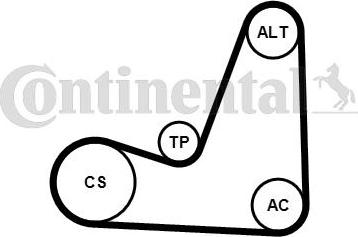 Continental CTAM 5PK1200K1 - Set curea transmisie cu caneluri parts5.com