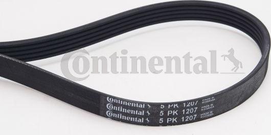 Continental CTAM 5PK1207 - Soonrihm parts5.com