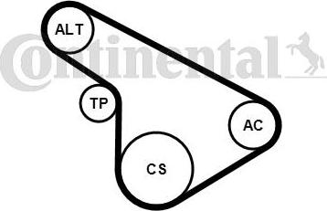 Continental CTAM 5PK1212K1 - Ozubený klinový remeň - Sada parts5.com