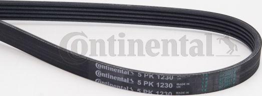 Continental CTAM 5PK1230 - Поликлиновой ремень parts5.com