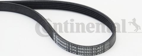 Continental CTAM 5 PK 868 ELAST - Klinasti rebrasti kaiš parts5.com