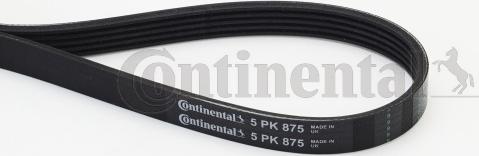 Continental CTAM 5PK875 - Klinasti rebrasti remen parts5.com