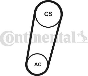 Continental CTAM 5PK705ELASTT1 - V-Ribbed Belt Set parts5.com