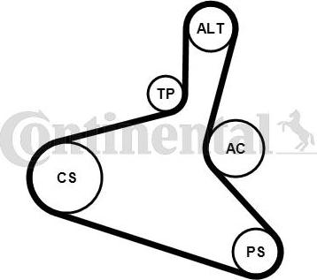 Continental CTAM 6 DPK 1195 K1 - Hosszbordás szíj készlet parts5.com