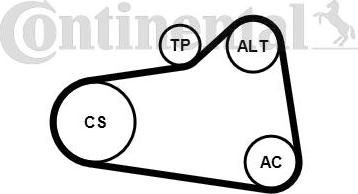 Continental CTAM 6PK905 EXTRA K1 - Комплект пистов ремък parts5.com