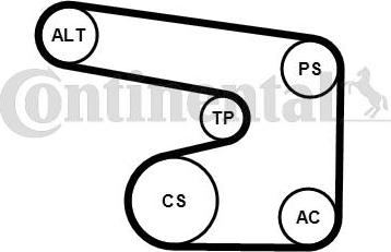 Continental CTAM 6PK1900K1 - Soonrihmakomplekt parts5.com