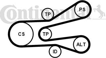 Continental CTAM 6PK1440K1 - Поликлиновый ременный комплект parts5.com