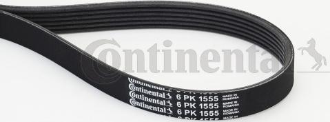 Continental CTAM 6 PK 1555 - Keilrippenriemen parts5.com