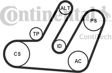 Continental CTAM 6PK1580K1 - V-Ribbed Belt Set parts5.com