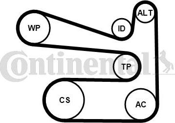 Continental CTAM 6PK1693K1 - Hosszbordás szíj készlet parts5.com