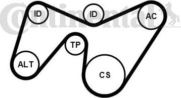 Continental CTAM 6PK1642K2 - V-Ribbed Belt Set parts5.com