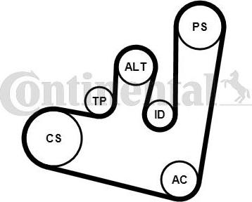 Continental CTAM 6PK1660K1 - Комплект пистов ремък parts5.com