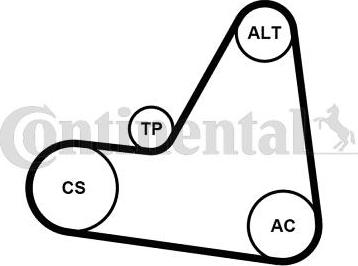 Continental CTAM 6PK1680K1 - Zestaw paska klinowego wielorowkowego parts5.com