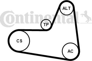 Continental CTAM 6 PK 1045 K2 - Hosszbordás szíj készlet parts5.com