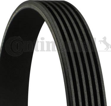 Continental CTAM 6PK1795 - Curea transmisie cu caneluri parts5.com