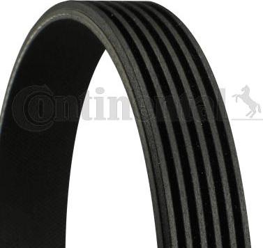 Continental CTAM 6 PK 1413 - Curea transmisie cu caneluri parts5.com