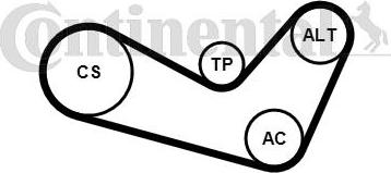 Continental CTAM 6 PK 1080 K1 - Set curea transmisie cu caneluri parts5.com