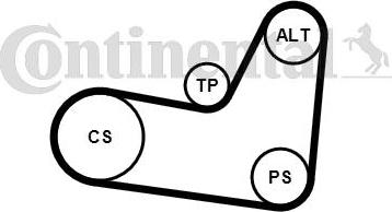 Continental CTAM 6PK1070K2 - Set curea transmisie cu caneluri parts5.com