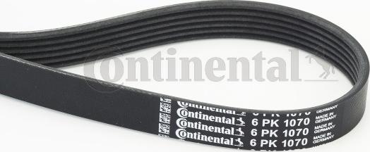 Continental CTAM 6PK1070 - Keilrippenriemen parts5.com