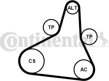 Continental CTAM 6PK1073 EXTRA K1 - Set curea transmisie cu caneluri parts5.com