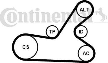 Continental CTAM 6PK1145K4 - Ozubený klinový remeň - Sada parts5.com